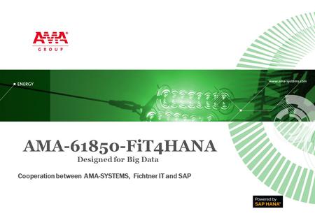 AMA FiT4HANA Designed for Big Data