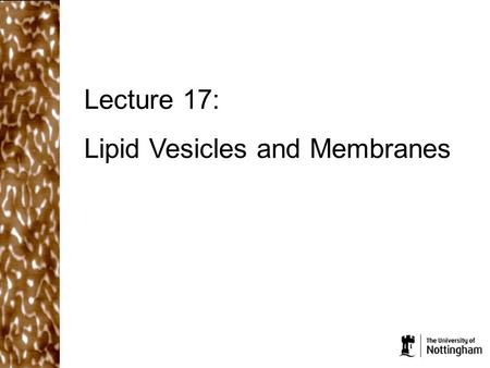 Lecture 17: Lipid Vesicles and Membranes. What did we cover in the last lecture? Amphiphilic molecules contain a hydrophobic head group and hydrophobic.