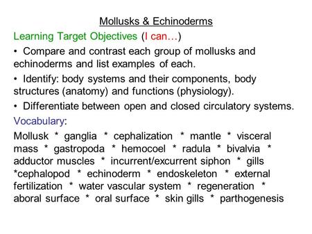 Mollusks & Echinoderms