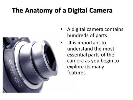 The Anatomy of a Digital Camera A digital camera contains hundreds of parts It is important to understand the most essential parts of the camera as you.