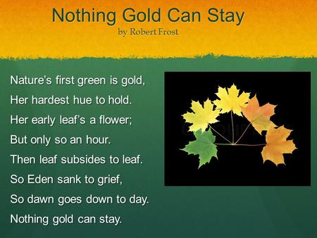 Nothing Gold Can Stay by Robert Frost