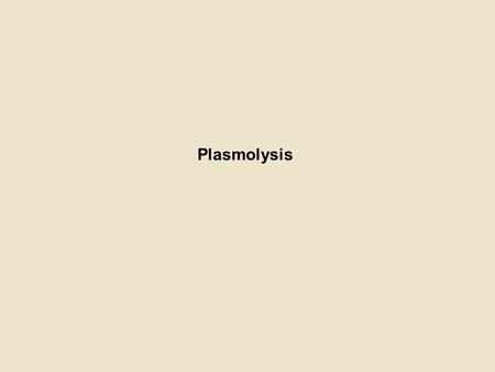 Plasmolysis.