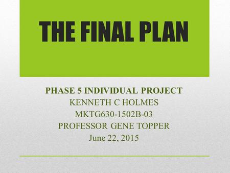 PHASE 5 INDIVIDUAL PROJECT