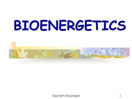 1 BIOENERGETICS Copyright Cmassengale. 2 What is Bioenergetics? energyliving systems organisms The study of energy in living systems (environments) and.