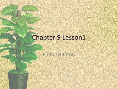 Chapter 9 Lesson1 Photosynthesis. Chapter 9 Big Question.