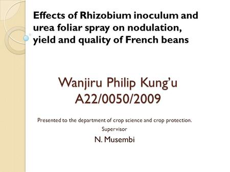 Wanjiru Philip Kung’u A22/0050/2009 Presented to the department of crop science and crop protection. Supervisor N. Musembi Effects of Rhizobium inoculum.