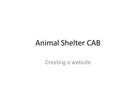 Animal Shelter CAB Creating a website.
