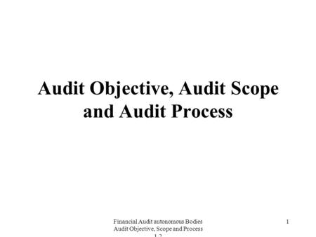 Audit Objective, Audit Scope and Audit Process