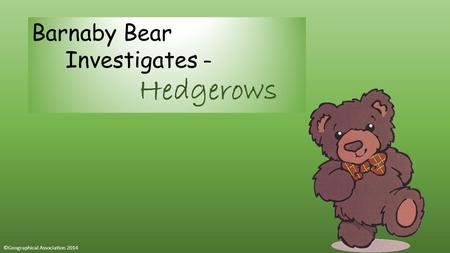 Barnaby Bear Investigates – Hedgerows ©Geographical Association 2014.