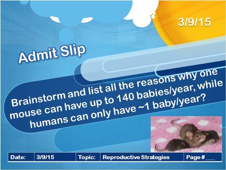 Brainstorm and list all the reasons why one mouse can have up to 140 babies/year, while humans can only have ~1 baby/year? 3/9/15 Date:3/9/15Topic:Reproductive.