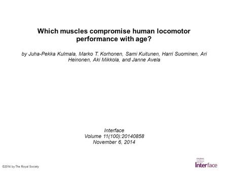 Which muscles compromise human locomotor performance with age?