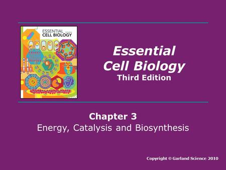 Energy, Catalysis and Biosynthesis