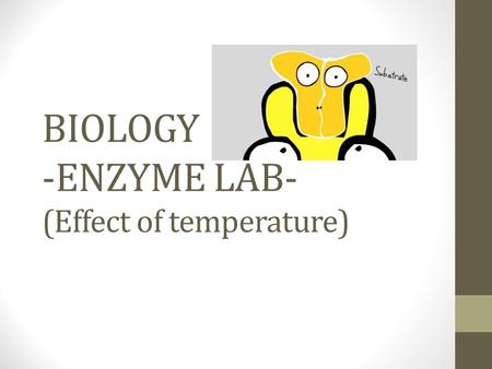 BIOLOGY -ENZYME LAB- (Effect of temperature)