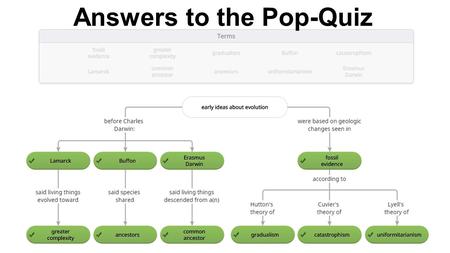Answers to the Pop-Quiz
