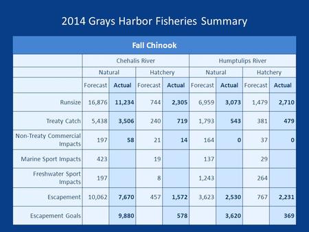 2014 Grays Harbor Fisheries Summary Fall Chinook Chehalis RiverHumptulips River NaturalHatcheryNaturalHatchery ForecastActualForecastActualForecastActualForecastActual.