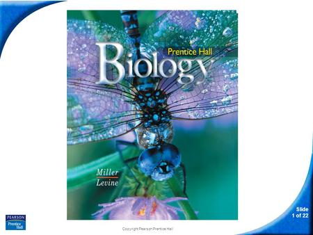 Slide 1 of 22 Copyright Pearson Prentice Hall Biology.