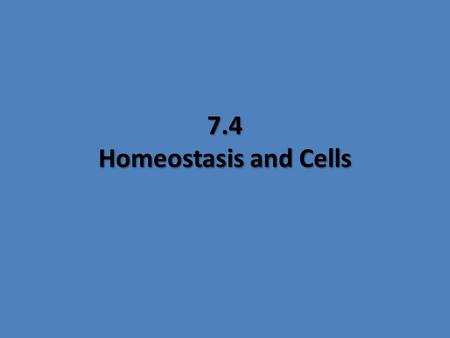 7.4 Homeostasis and Cells.