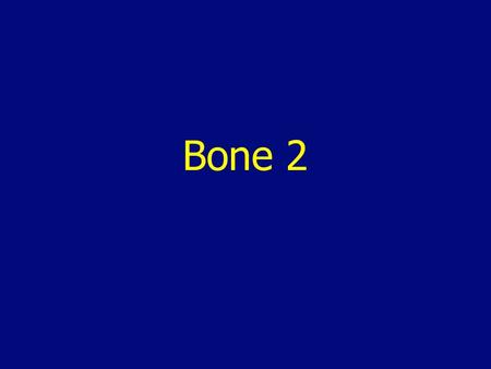 Bone 2.