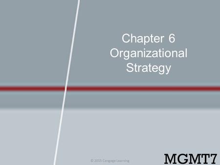Chapter 6 Organizational Strategy