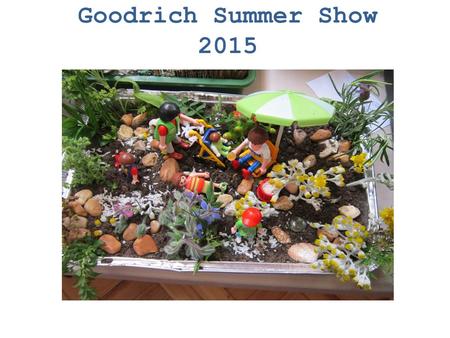 Goodrich Summer Show 2015. There are lots of different competitions to enter !