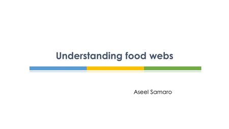 Understanding food webs