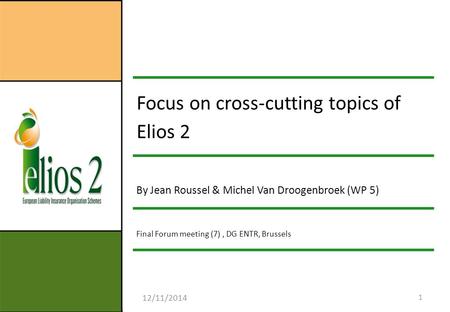 12/11/2014 1 Focus on cross-cutting topics of Elios 2 By Jean Roussel & Michel Van Droogenbroek (WP 5) Final Forum meeting (7), DG ENTR, Brussels.
