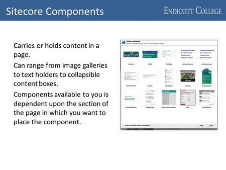 Sitecore Components Carries or holds content in a page. Can range from image galleries to text holders to collapsible content boxes. Components available.