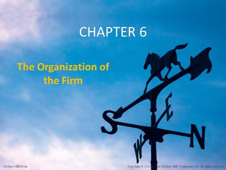 The Organization of the Firm