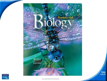 Slide 1 of 21 Copyright Pearson Prentice Hall biology.