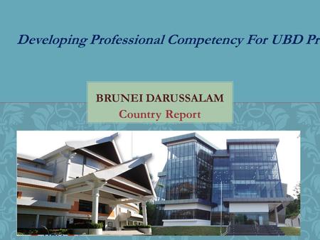 Country Report Developing Professional Competency For UBD Professionals.