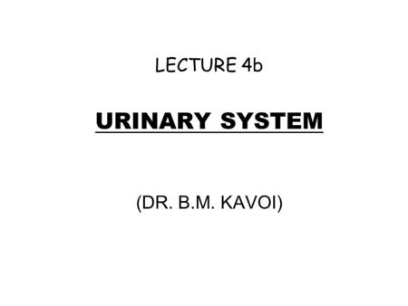LECTURE 4b URINARY SYSTEM (DR. B.M. KAVOI).