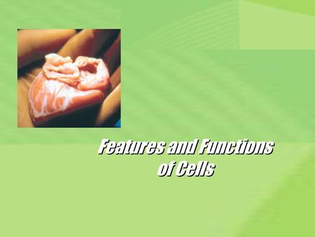 Features and Functions of Cells