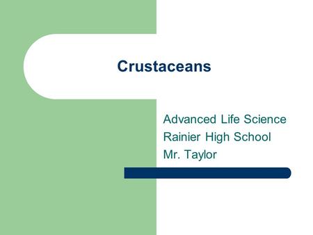 Crustaceans Advanced Life Science Rainier High School Mr. Taylor.