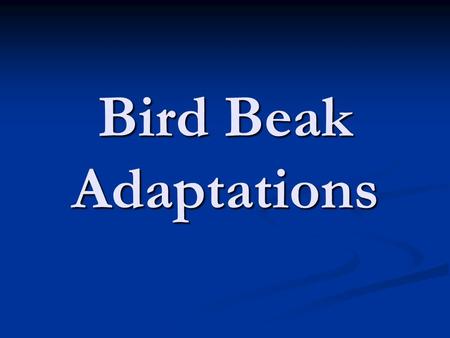 Bird Beak Adaptations. Eagle To tear the flesh of animals To tear the flesh of animals.