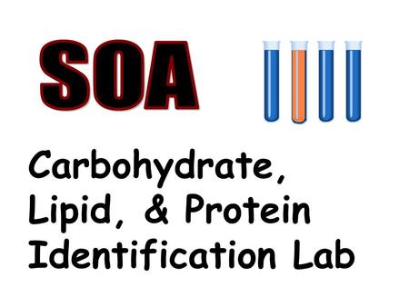 Carbohydrate, Lipid, & Protein Identification Lab