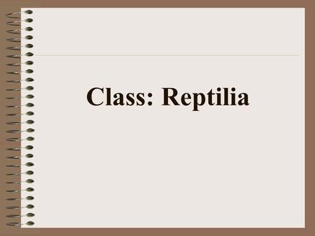 Class: Reptilia Types of Reptiles Common Garter Snake.