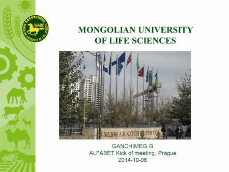 MONGOLIAN UNIVERSITY OF LIFE SCIENCES