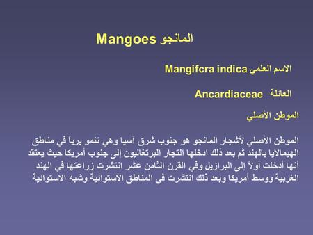 المانجو Mangoes الاسم العلمي Mangifcra indica العائلة Ancardiaceae