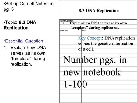 Number pgs. in new notebook 1-100