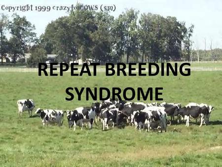 REPEAT BREEDING SYNDROME