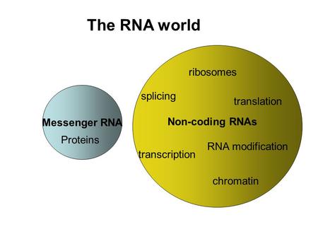 The RNA world Messenger RNA Proteins Non-coding RNAs splicing ribosomes translation transcription RNA modification chromatin.