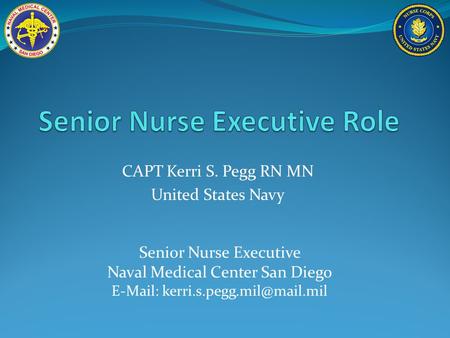 Senior Nurse Executive Role