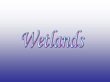 Types of Wetlands How Wetlands Are Used: Building of: –Houses –Offices & Towers –Roads/Parking Lots –Golf Courses UrbanizationAgricultural Growth.