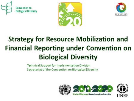 Strategy for Resource Mobilization and Financial Reporting under Convention on Biological Diversity Technical Support for Implementation Division Secretariat.