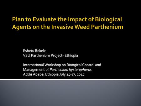 Eshetu Bekele VSU Parthenium Project- Ethiopia International Workshop on Bioogical Control and Management of Parthenium hysterophorus Addis Ababa, Ethiopia.