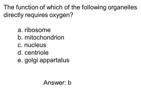 The function of which of the following organelles