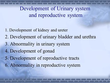 Development of Urinary system and reproductive system