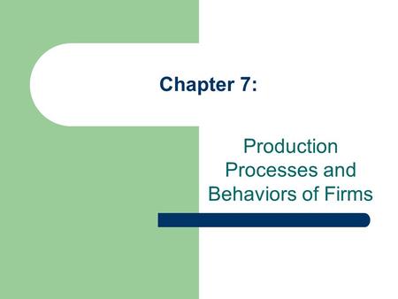Chapter 7: Production Processes and Behaviors of Firms.