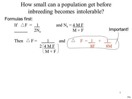 1 How small can a population get before inbreeding becomes intolerable? If F = 1 and N e = 4 M F 2N e M + F Then F = 1 and F = 1 + 1 2 4 M F 8F 8M M +