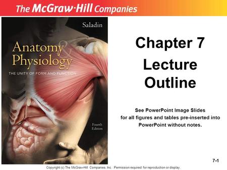 7-1 Chapter 7 Lecture Outline See PowerPoint Image Slides for all figures and tables pre-inserted into PowerPoint without notes. Copyright (c) The McGraw-Hill.